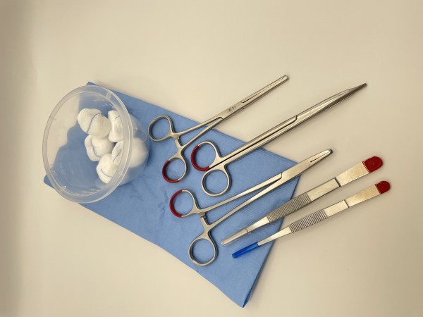 Basis Set für kleine chirurgische Eingriffe (kostenpflichtiges Test Set)